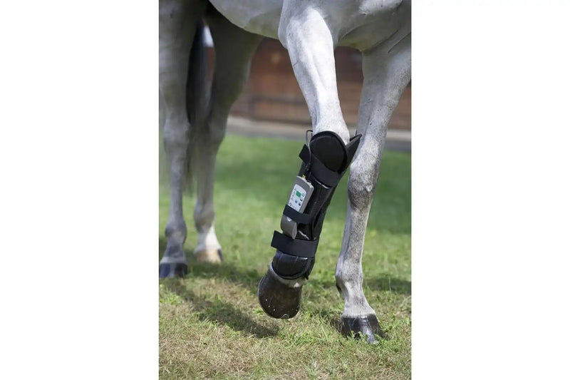 Load image into Gallery viewer, OMI PEMF Horse Front Leg Wrap

